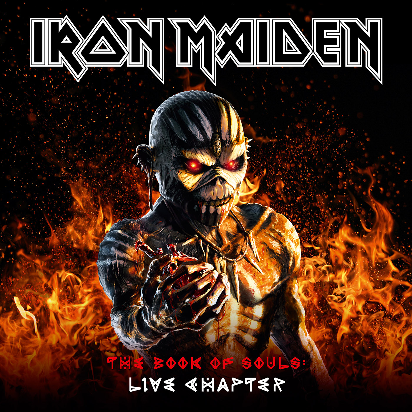 The Book of Souls: Live Chapter cover
